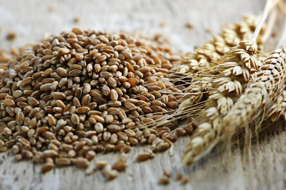 Psoriasis – Symptoms, Food choices, and Remedies